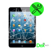 iPad Mini High Quality Front Glass Replacement PLUS Installation!